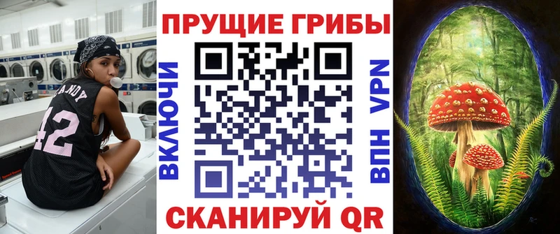 Псилоцибиновые грибы GOLDEN TEACHER  где купить   Барыш 